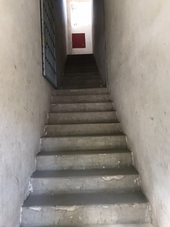 Homero 1900. Galpon.