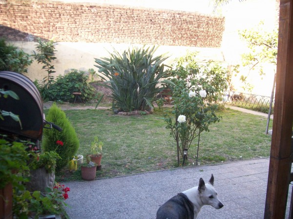 Paso 2100. Casa 4 ambientes.