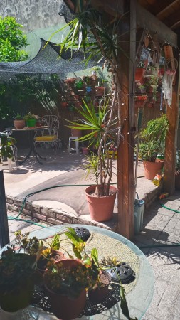 Zelada 6400. PH 4 ambientes con fondo libre.