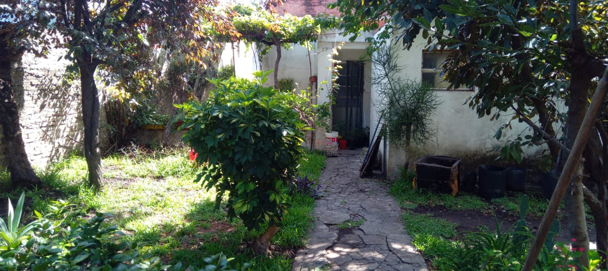 Martiniano Leguizamon 700. PH a refaccionar o construir.