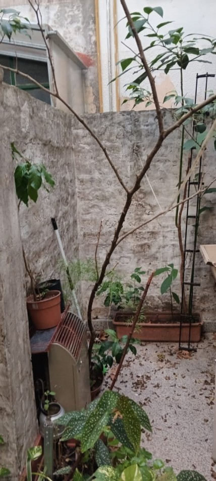 Condarco 900. Departamento 2 ambientes planta baja frente.