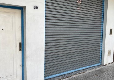 Albariño 1600. Local